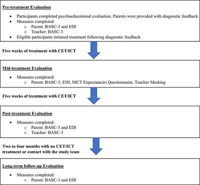 Does central executive training and/or inhibitory control training improve emotion regulation for children with attention-deficit/hyperactivity disorder? A randomized controlled trial